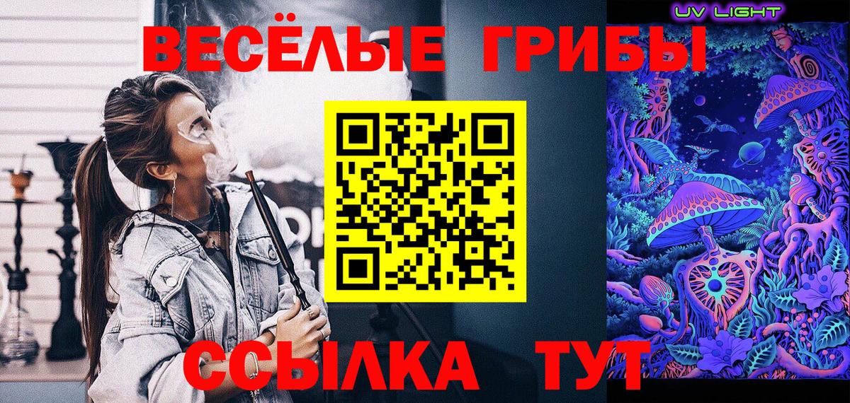 Галлюциногенные грибы прущие грибы  Вход с VPN  Клин 