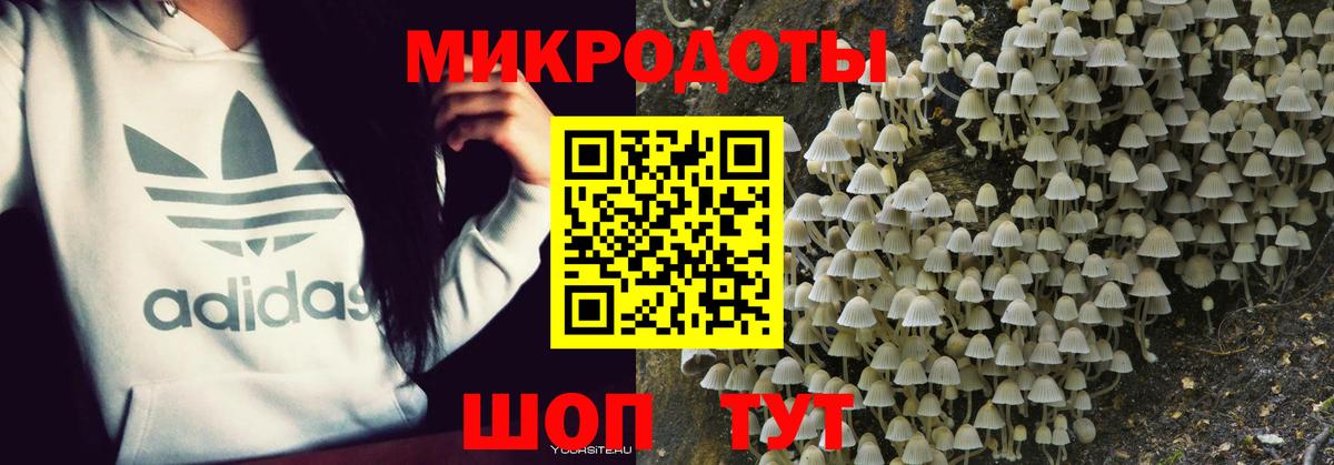 Галлюциногенные грибы ЛСД Клин